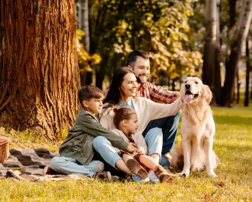 ubezpieczenia indywidualne